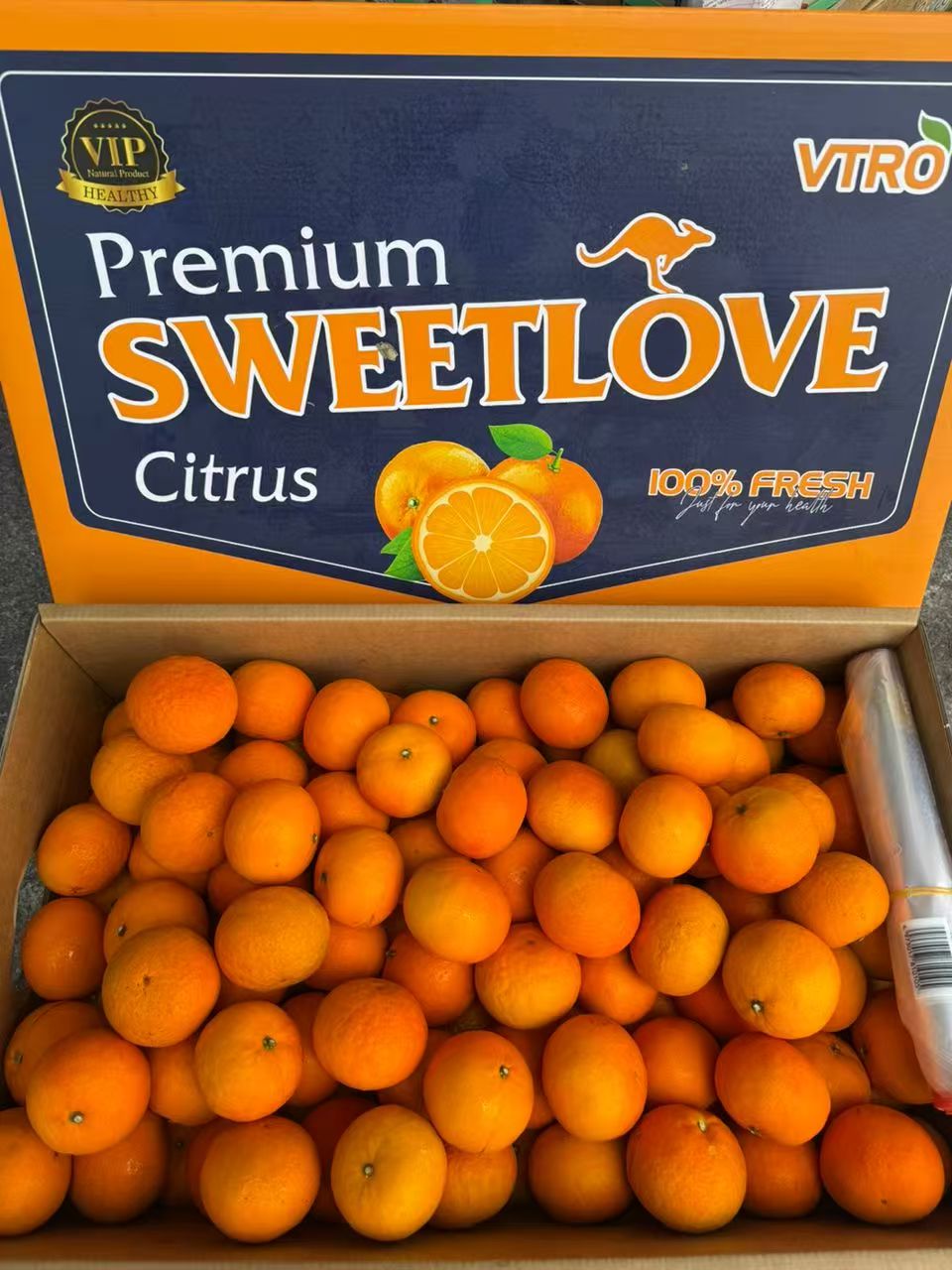 Seasonal fresh fruits sourced from Selayang wholesale market