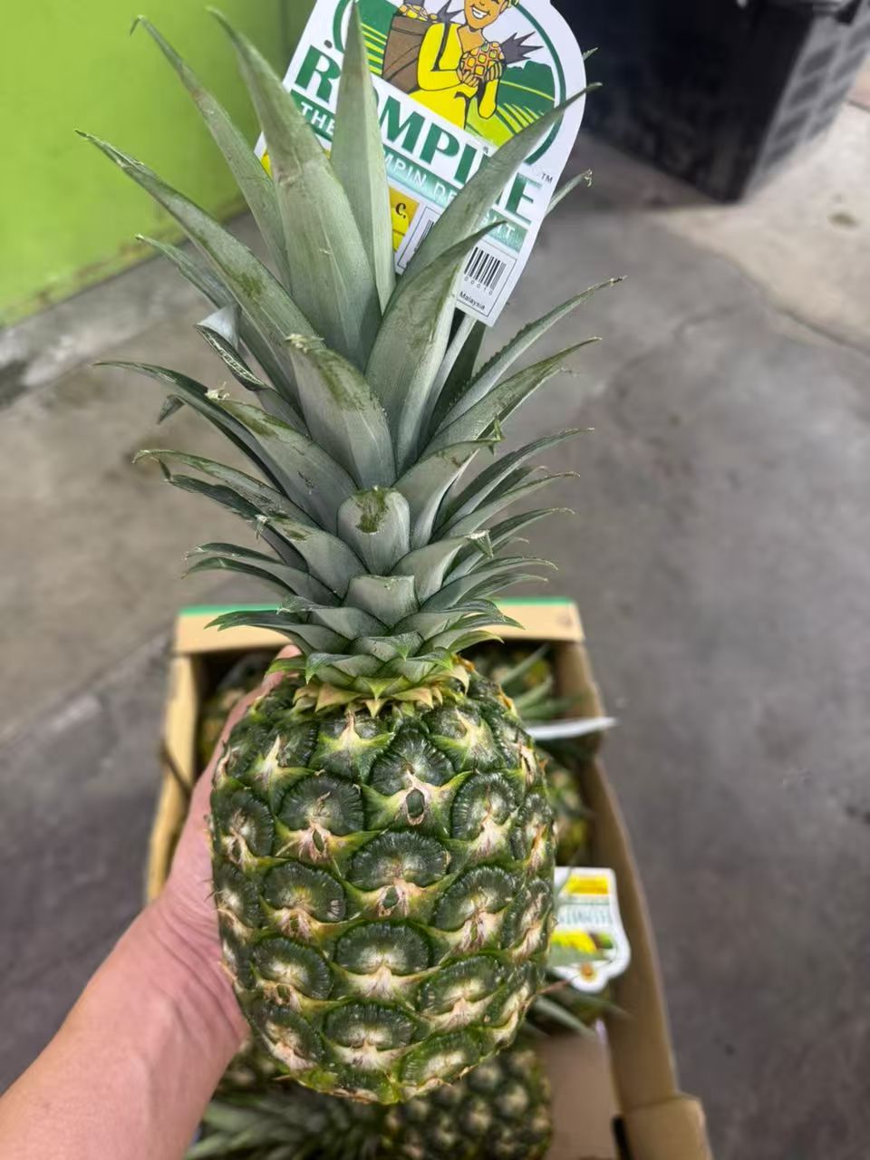 Weekly fresh fruits KL delivery for cafes and restaurants