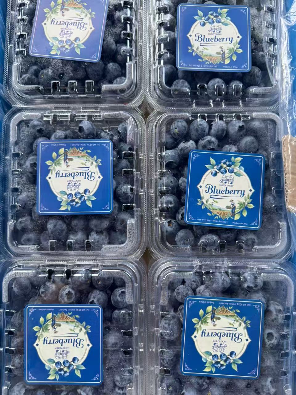 Bulk fruit orders prepared for KL and PJ businesses